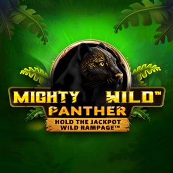 Mighty Wild™_ Panther game thumbnail